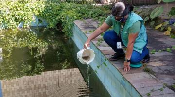 Mulher está agachada à beira de piscina. Ela segura na mão direita uma jarra com um liquido e pequenos peixo e os verte para a piscina. #Paratodosverem