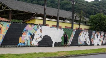 Muro grafitado com desenhos de cavalos. Uma das figuras é a de uma menina em cadeira de rodas com a cabeça apoiada na cabeça do cavalo. #Paratodosverem