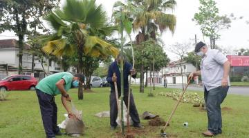 3 homens plantam árvore #paratodosverem 