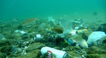 Santos se alia a agentes internacionais para combater lixo marinho