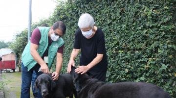 mulher está junto de dois cães enquanto homem com colete coloca a coleira em um deles. #paratodosverem