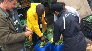 técnicos colocam verduras em tonéis #pracegover 