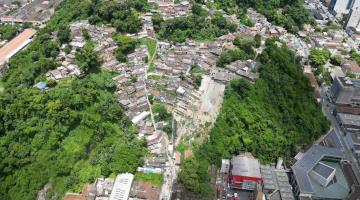 Santos cria grupo para recuperar áreas vulneráveis com ajuda da natureza