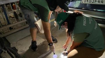 Mutirão santista contra o Aedes vai ao Gonzaga nesta quarta-feira