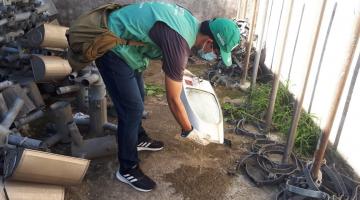 Mutirão na região central de Santos elimina 38 focos com larvas