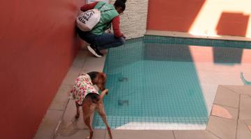 agente analisa piscina #paratodosverem