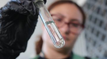 agente olha larva #paratodosverem