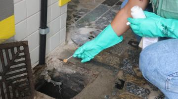 Ação de combate à dengue. #Paratodosverem