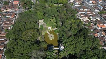 vista aérea de mass verde do jardim botânico. #paratodosverem