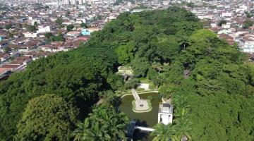 Jardim Botânico, em Santos, comemora 28 anos com programação especial no sábado