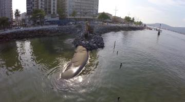 Geobags impedem mais estragos após ressaca na Ponta da Praia em Santos