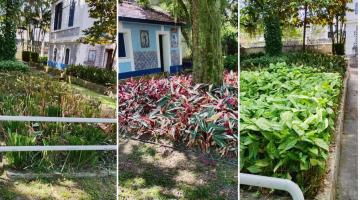 Jardim Botânico e Casa das Culturas de Santos recebem cuidados paisagísticos