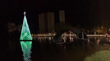 árvore gigante da lagoa da saudade #paratodosverem