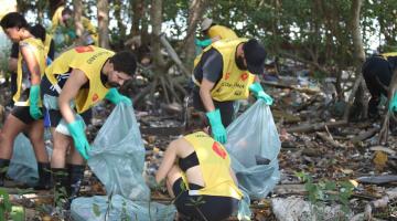 Ação retira meia tonelada de lixo de manguezal em Santos