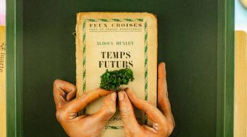 quadro da exposição #paratodosverem