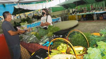 barraca de feira cheia de verduras e legumes expostos. Produtor, atrás da banca conversa com consumidora que está no espaço de circulação do público. #paratodosverem