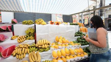 Mulher escolhe frutas em barraca da feira. #paratodosverem