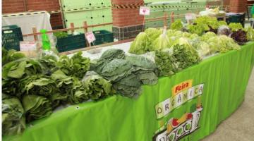 Verduras em cima de mesa na feira de orgânicos #paratodosverem