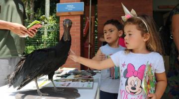 criança encosta com a mão em ave no orquidário #paratodosverem