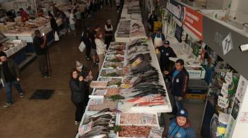 pessoas olhando peixes #paratodosverem