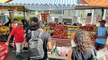 fiscais com mochilas diante de barracas de feira. #paratodosverem