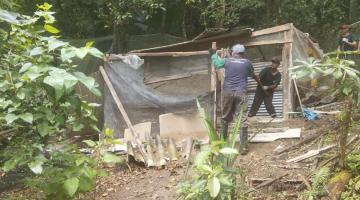 homens estão removendo cerca e materiais de uma construção em meio a uma área verde. #paratodosverem