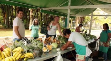 Botânico traz primeira feira de orgânicos  de 2019 com atividades pela paz