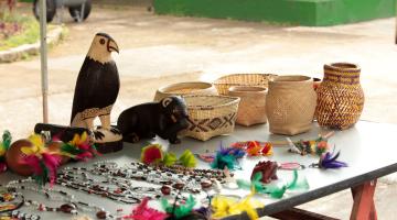 Feira de orgânicos promove várias atrações no domingo 