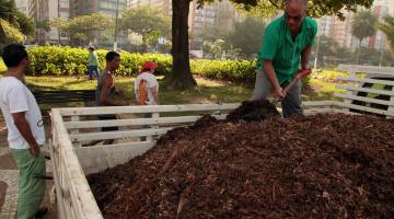 Restos de vegetação se  transformam em adubo para jardins e canteiros. Assista a vídeo