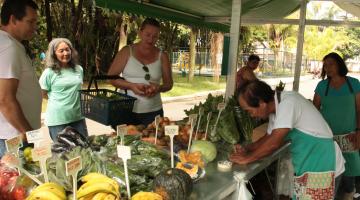 Mais saudáveis, produtos das feiras de orgânicos conquistam a mesa de santistas