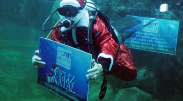 Papai Noel mergulha no Aquário na segunda-feira. Ainda há vagas para cursos de férias
