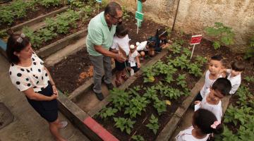 Da horta para a mesa: alunos de escola municipal de Santos plantam seus alimentos    