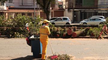 Segundo dia de trabalho após a ventania em Santos soma 25 árvores removidas