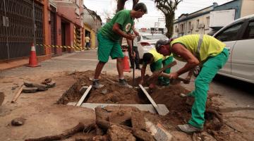 Homens instalam defletores em cova de árvore. #Pracegover