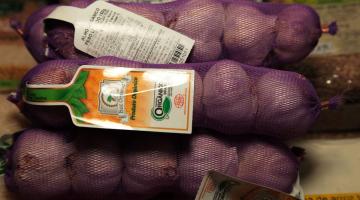 Carnaval terá duas feiras de produtos orgânicos