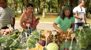 duas mulheres olham produtos expostos #pracegover 