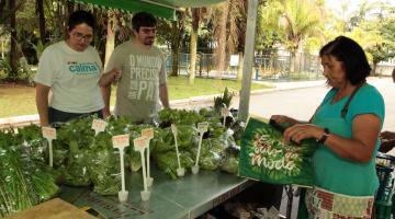 Programação conjunta une feira de orgânicos e Dia do Plantio Global no Jardim  Botânico