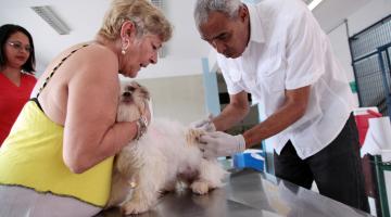 Vacinação contra a raiva segue durante a semana e terá posto volante no domingo