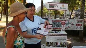 Estande em ponto turístico fará alerta para doenças causadas pelo Aedes aegypti