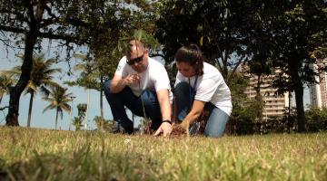 casal planta árvore em jardim. #paratodosverem