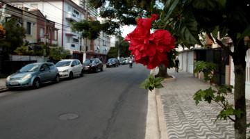 Santos terá mais de 7 km de vias pavimentadas nos próximos meses