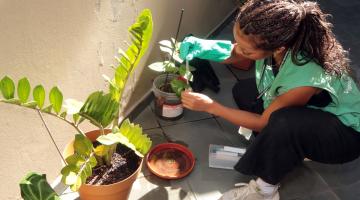 agente examina plantas e vasos em domicílio. #paratodosverem