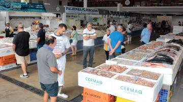 boxes com exposição de peixes e pessoas circulando. #paratodosverem