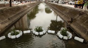 Canais de Santos começam a ganhar barreiras ecológicas com plantas aquáticas