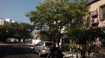 Mais duas ruas do Estuário, em Santos, já têm nova pavimentação