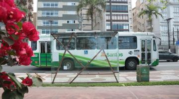 roseira vermelha no canto esquerdo em primeiro plano, com abrigo ao fundo. Sendo de vidro, é possível ver o ônibus que passa à frente na avenida. #paratodosverem 