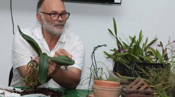 Orquidário de Santos terá curso sobre cultivo de orquídeas neste sábado