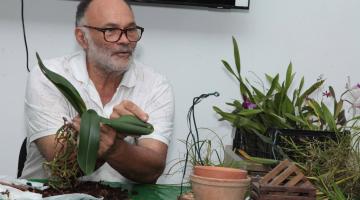 Orquidário de Santos oferece curso de replantio de orquídeas neste sábado