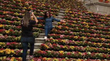 Santistas se encantam e tiram fotos com a decoração florida da Primavera Criativa