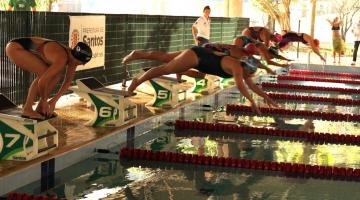 atletas mergulham em piscina. #paratodosverem